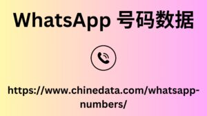 WhatsApp 号码数据